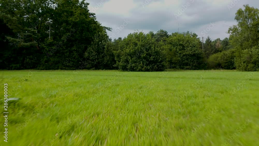 Low altitude drone flight over a meadow. 4K recording. Low altitude drone flight over a meadow. 4K recording.