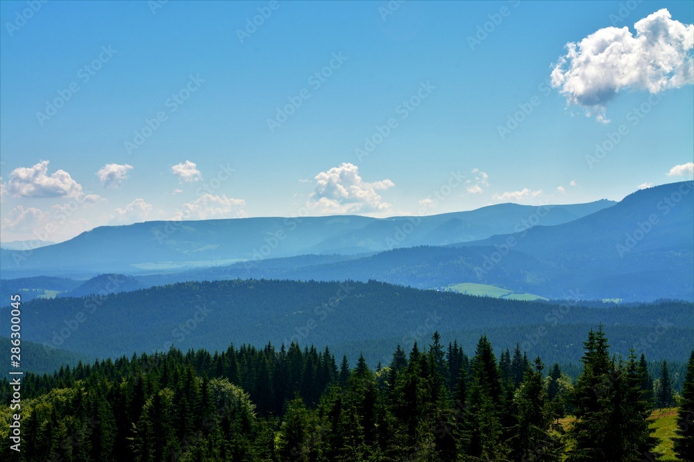 landscape with Calimani mountains - Romania