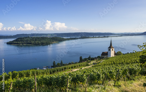 Blick auf die St. Petersinsel und die Kirche von Ligerz am Bielersee, Schweiz