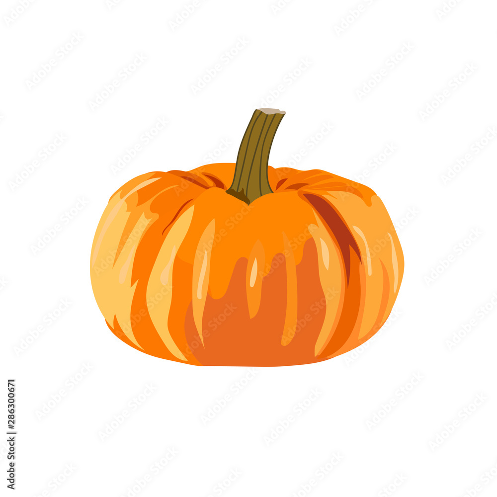 Obraz premium Ripe orange pumpkin, autumn fruit.