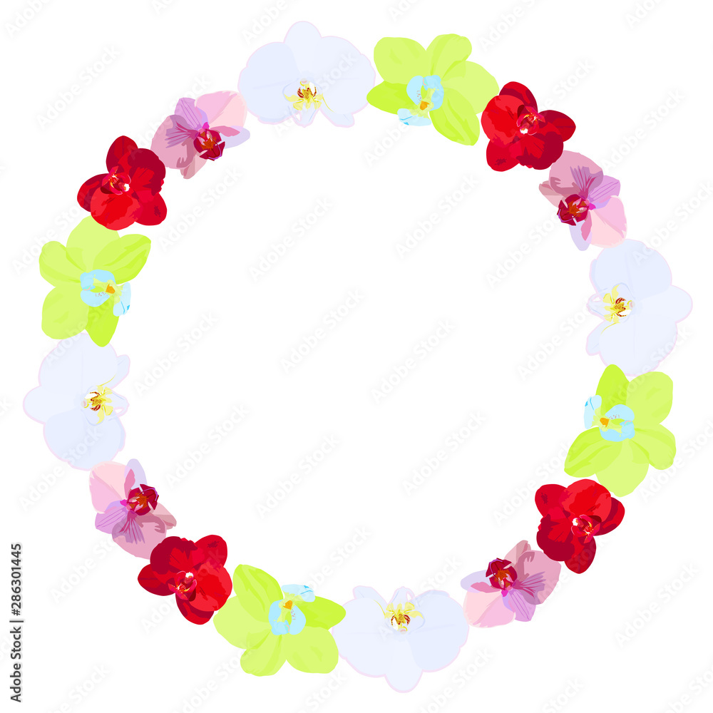 A wreath of different flowers of orchids. A wreath of different flowers of orchids.