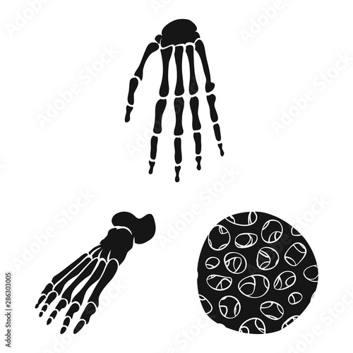Vector design of biology and medical icon. Set of biology and skeleton stock vector illustration.