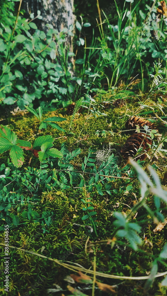 Processed with VSCO with f1 preset Processed with VSCO with f1 preset