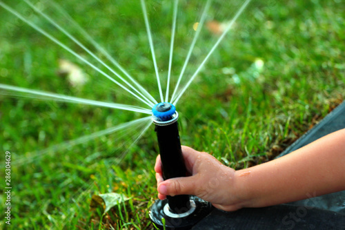 Rotating sprinkler on a green lawn