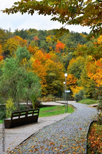 alley in the park from Sovata resort - Romania in autumn