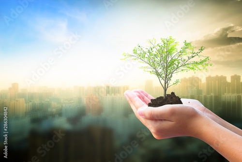 International Day of Charity concept: Human hand holding tree over city background
