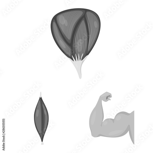 Vector illustration of human and body symbol. Collection of human and cells stock vector illustration.