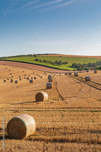 Fototapeta Naklejka Na Ścianę i Meble -  A summer landscape in the South Downs in Sussex, with hay bales in a newly harvested field