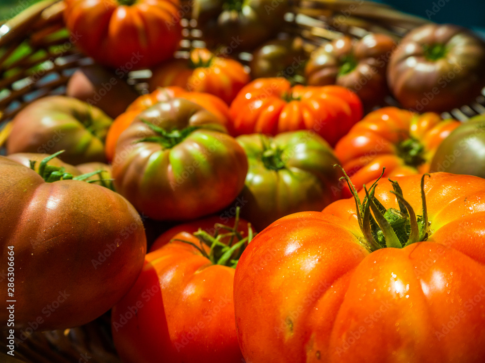 Tomates anciennes