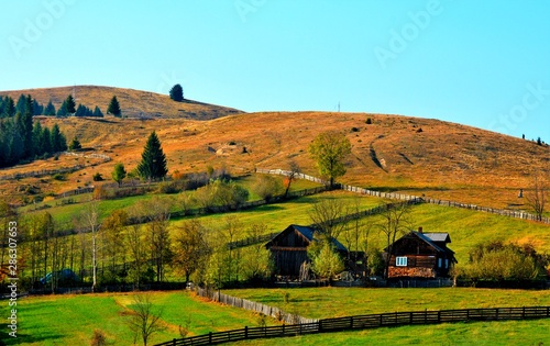 autumn landscape in the village