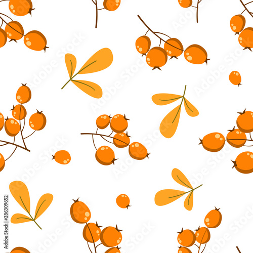 Vector floral seamless pattern with sea ​​buckthorn and leaves. Floral design for fabric, wallpaper, textile, web design. Isolated on white.
