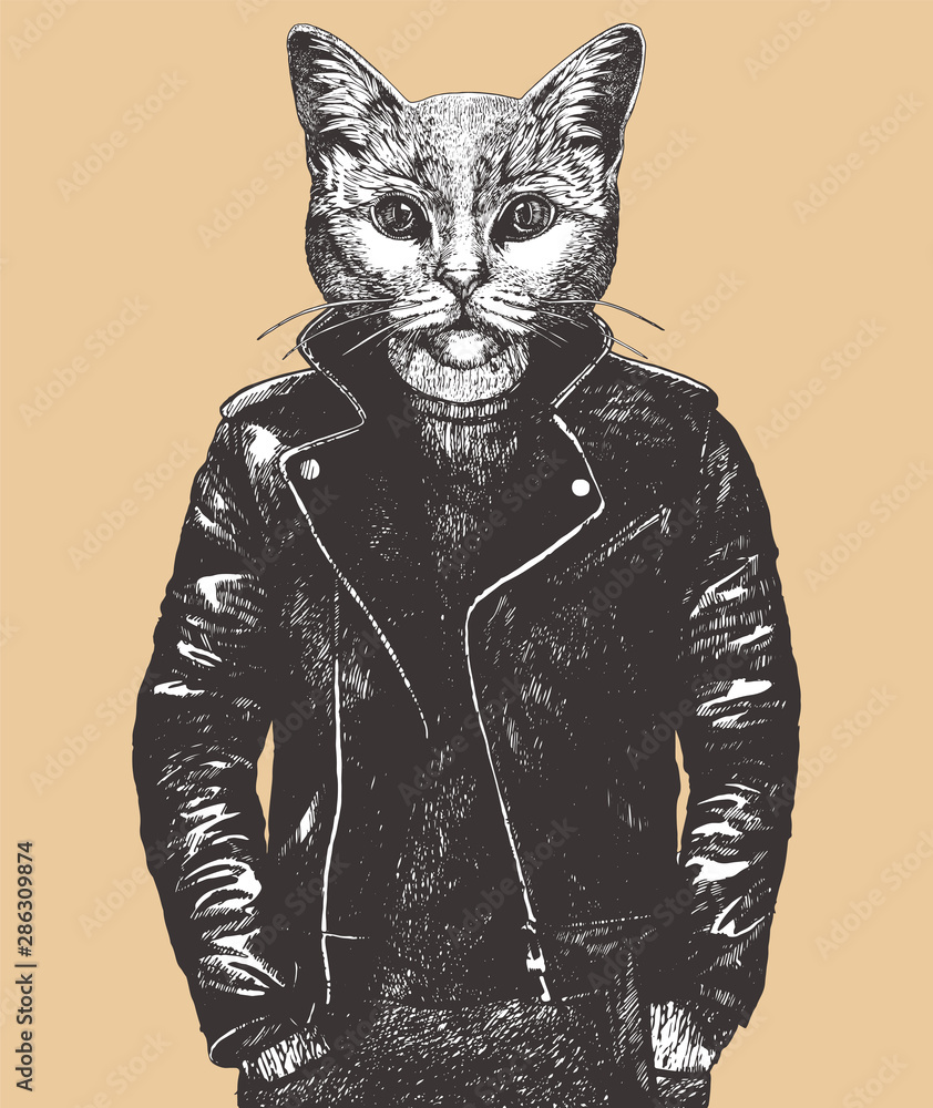 Cat in leather deals jacket