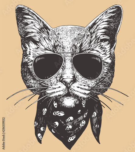 Portrait of Cat with sunglasses and scarf. Hand-drawn illustration. Vector