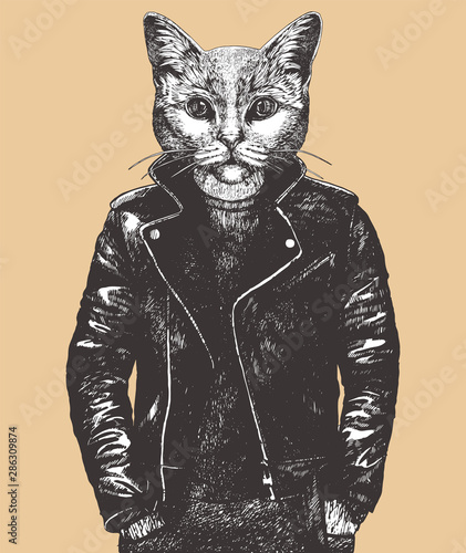 Portrait of British Shorthair Cat in leather jacket, hand-drawn illustration,  vector