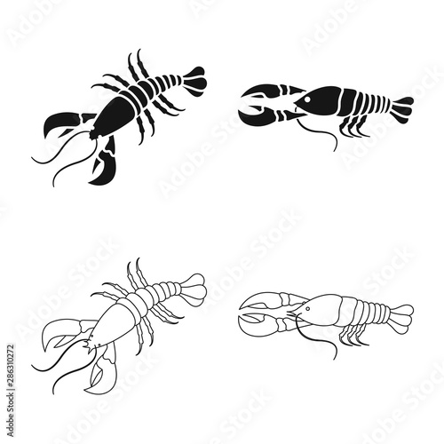Vector design of appetizer and ocean icon. Set of appetizer and delicacy vector icon for stock.