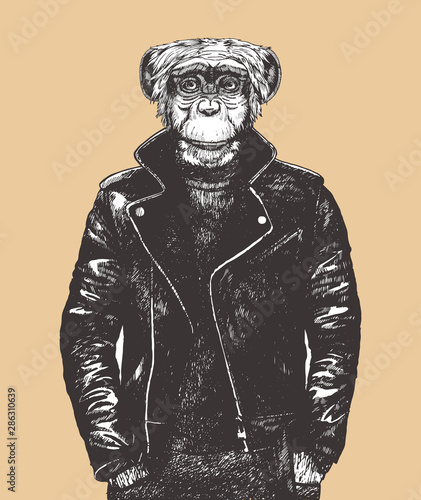 Portrait of Monkey in leather jacket. Hand-drawn illustration. Vector