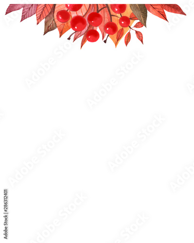 autumn leaves on a white background