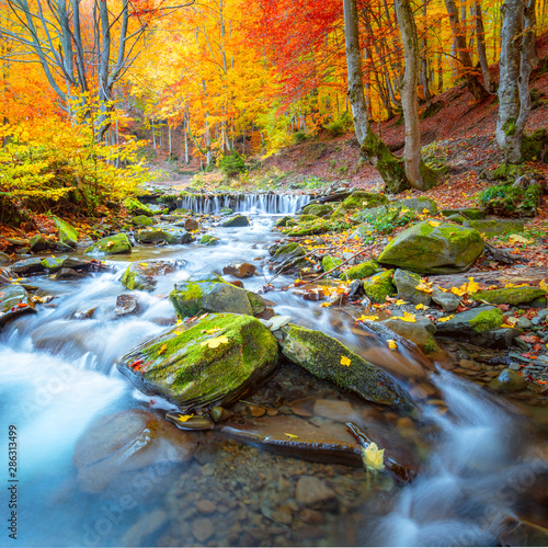Colorful Autumn landscape -  river waterfall in colorful autumn forest park with yellow red  leaves