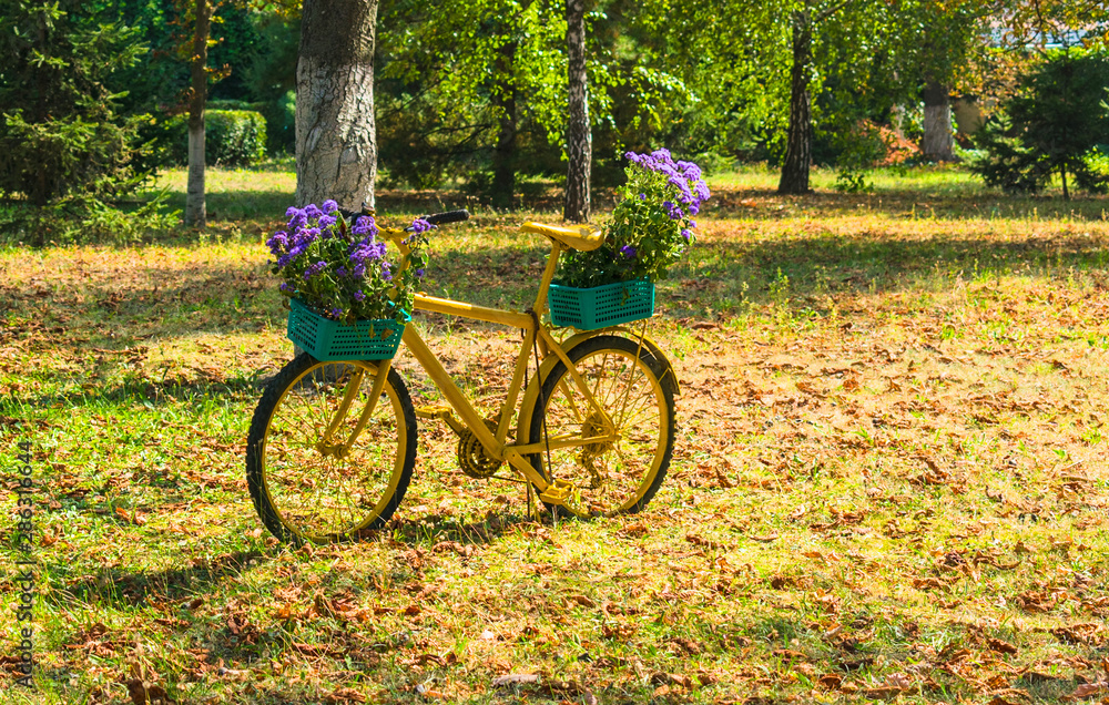 Yellow bike and basket with lilac flowers, with a park. Concept of autumn walk.
