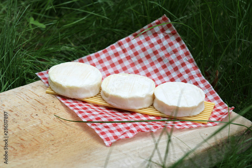 Cabécous, fromage de chèvre du terroir français photo