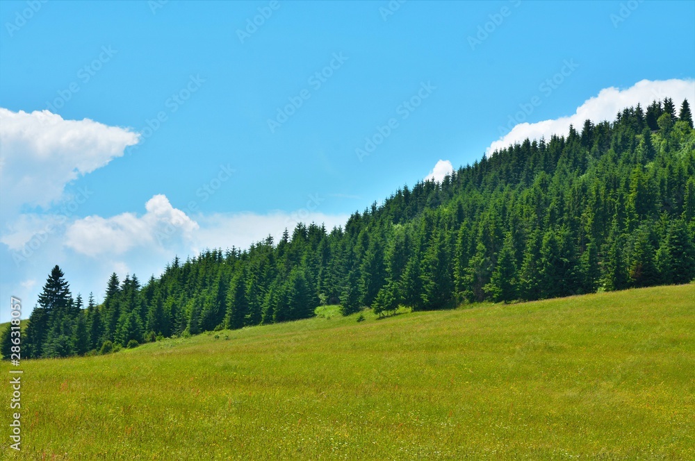 landscape in the mountains