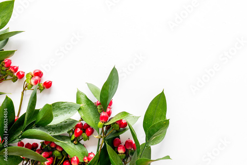 Background for blog with green plant and berries frame on white background top view space for text