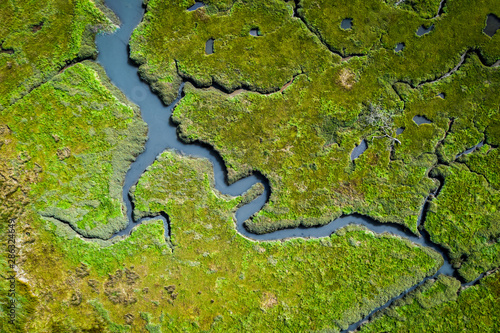 Aerial view of lush coastal wetlands in Wales, UK