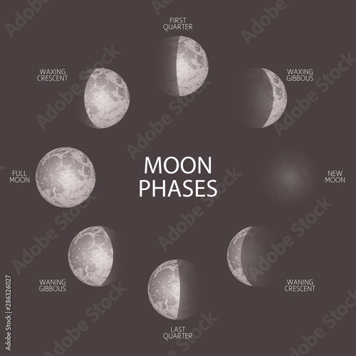 Moon phases sketch vector illustration. Hand drawn poster with cycle from fuul to new moon