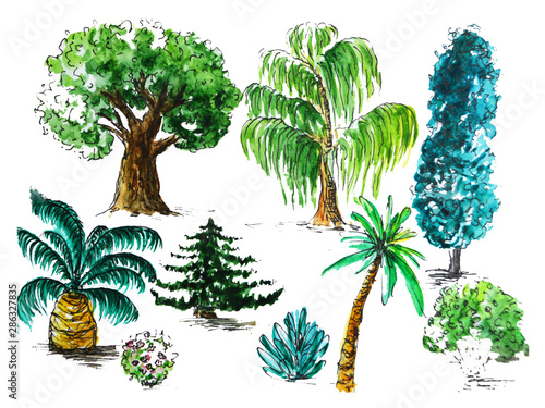 trees set tropics forest watercolor illustration 