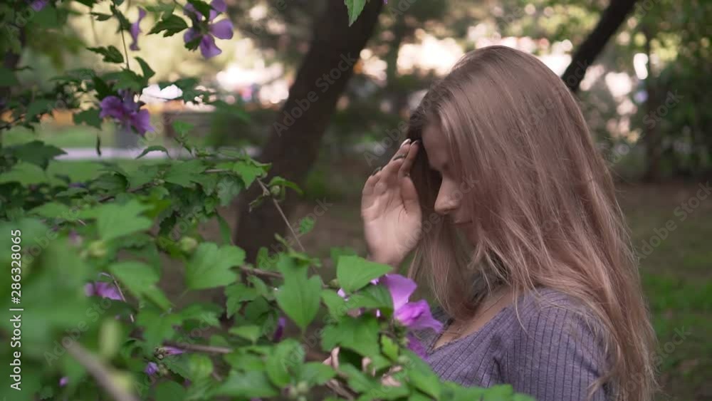 Cute young girl sniffs and touches purple hibiscus flowers. Happy girl in a gray dress near a blooming hibiscus tree. Cute young girl sniffs and touches purple hibiscus flowers. Happy girl in a gray dress near a blooming hibiscus tree.