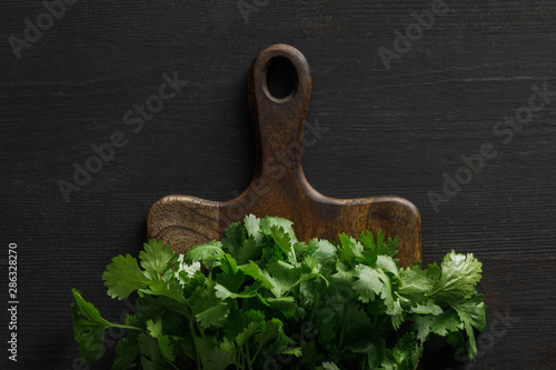 Top view of brown wooden cutting board with cilantro bundles on dark surface