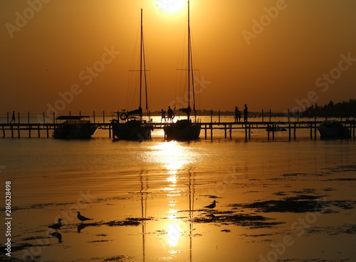 boats and people on the coast beach in the sea sunset sundown sunshine 