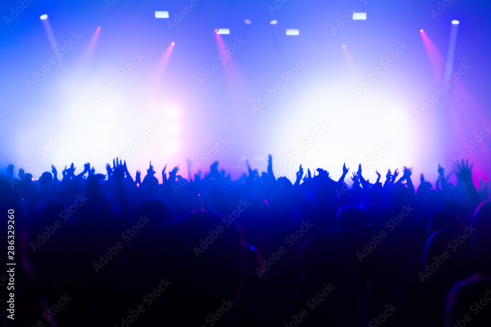 crowd of people dancing at rock concert