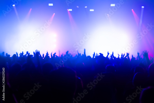 crowd of people dancing at rock concert