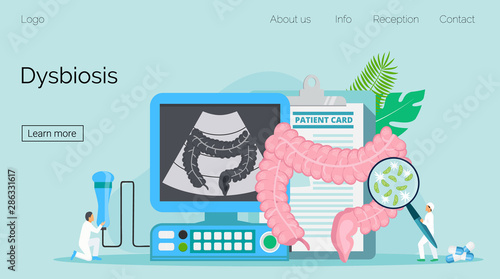 Intestine doctors examine, treat dysbiosis, perform ultrasound scan.