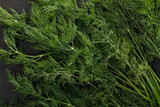 Close up view of fresh green dill bundle on dark surface