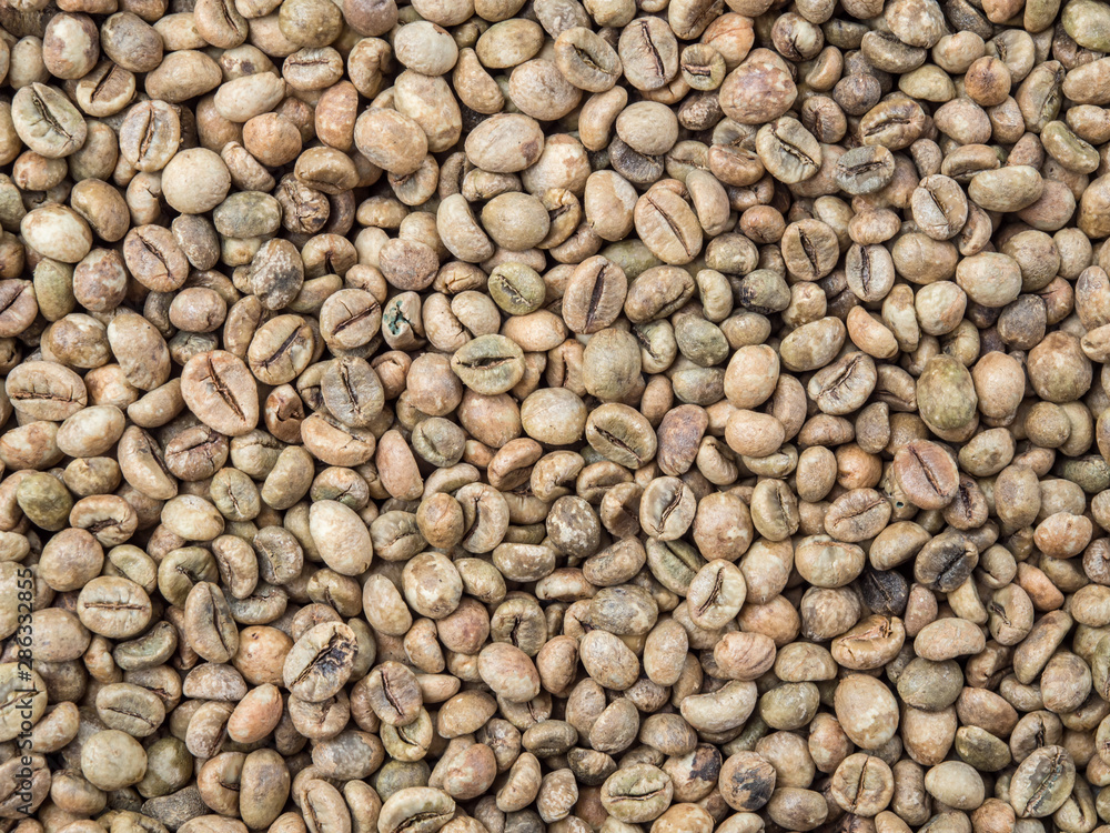 Close up raw coffee bean organic pile nature background. Close up raw coffee bean organic pile nature background.