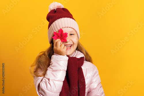 Portrait of a cute little girl in a jacket, scarf and hat on a yellow background. The child holds a maple leaf. Autumn concept.
