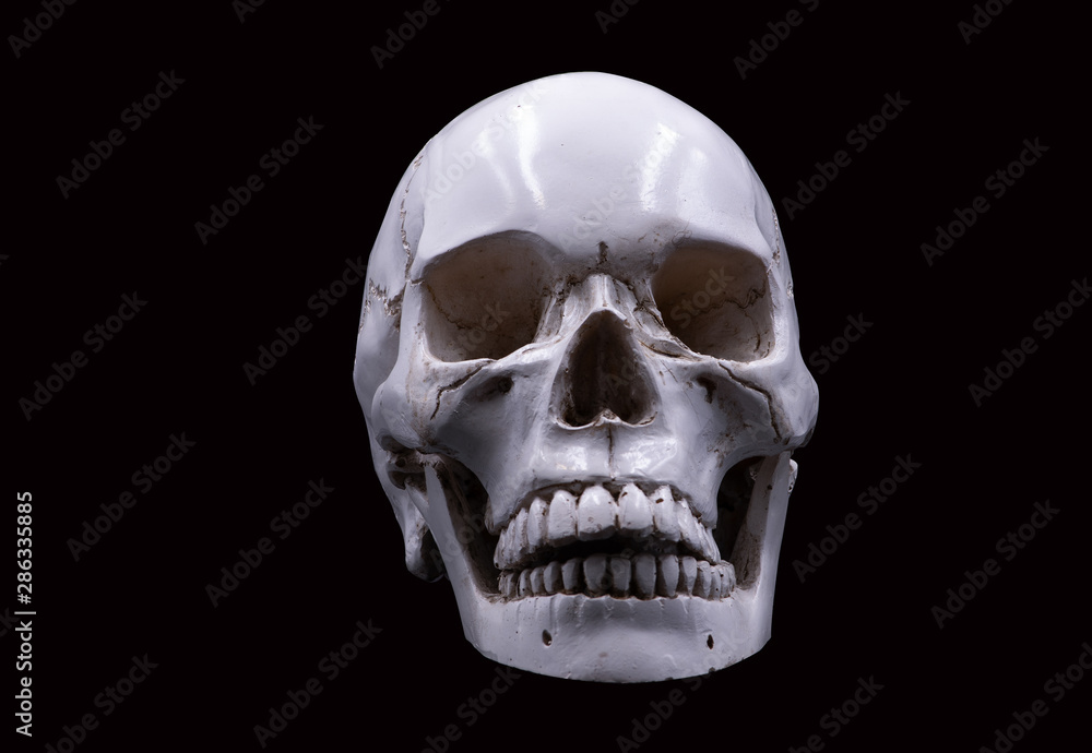 Skull of the human on a black background Skull of the human on a black background