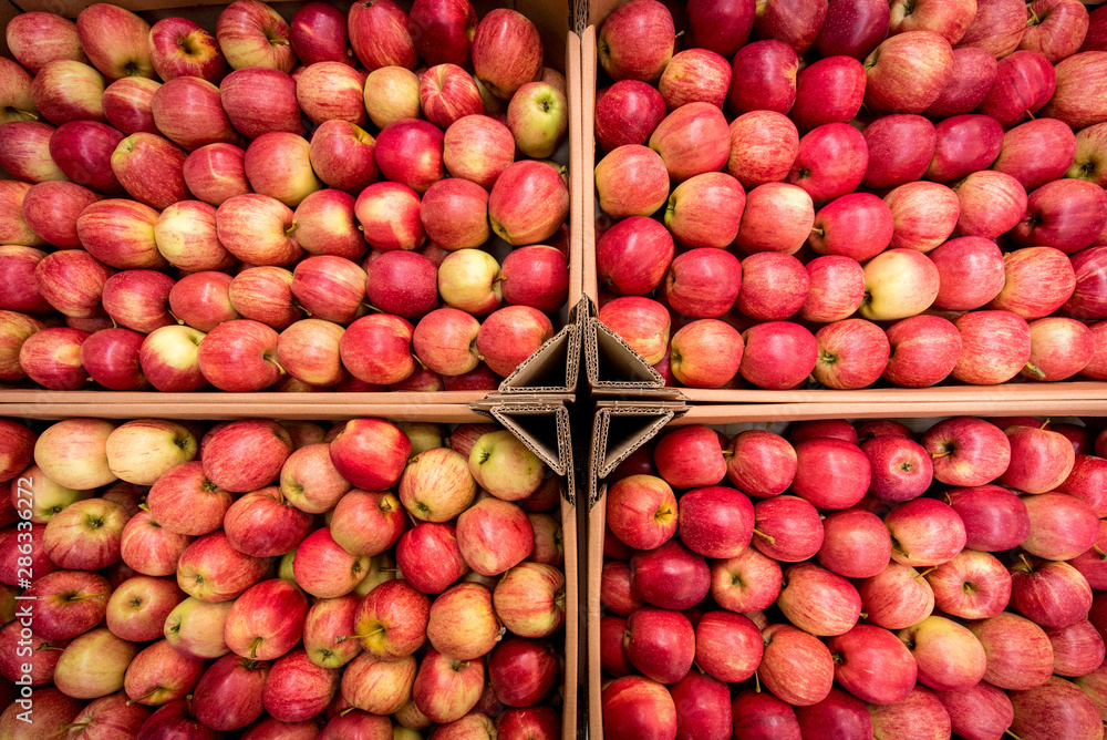 A large number of red apples. Texture. Plural. A large number of red apples. Texture. Plural.