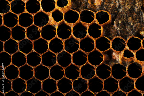 Honeycomb Texture Sweet nectar not yet extracted from the honeycomb. Background of honeycombs in dark golden hues. Macro shooting of honeycombs. Decorative background