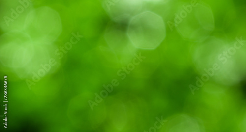 green abstract bokeh lighting  background ,sunny abstract green nature background, selective focus