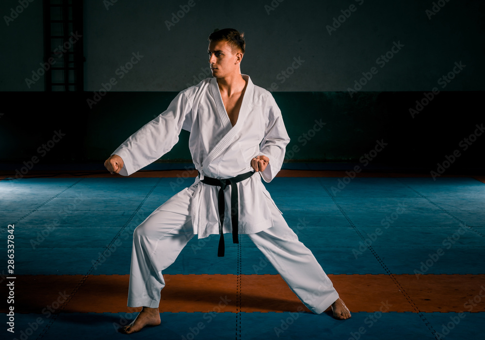 Professional karate fighter kicking. Isolated on a white background
