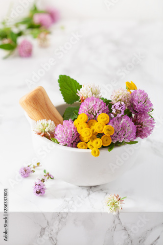 medical flowers herbs in mortar. alternative medicine. clover tansy thyme melissa