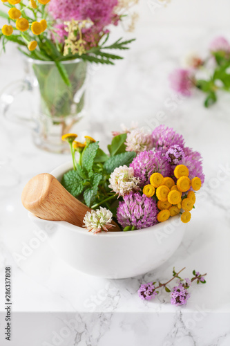 Wallpaper Mural medical flowers herbs in mortar. alternative medicine. clover tansy thyme melissa Torontodigital.ca