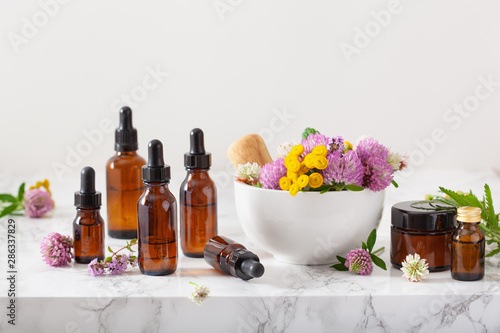 medical flowers herbs in mortar essential oils in bottles. alternative medicine. clover milfoil tansy rosebay photo