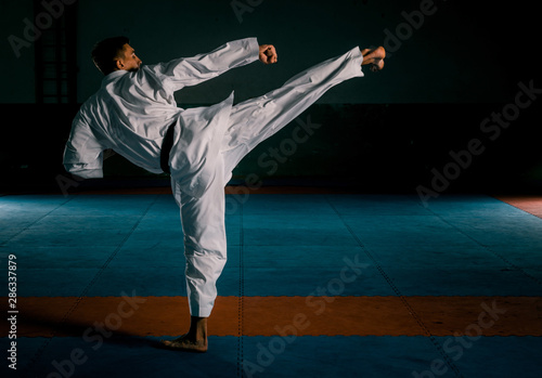 The one judokas fighter posing in gym