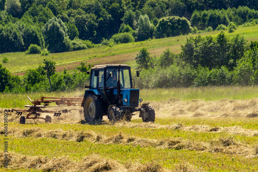 An old tractor turns over the mowed hay on a Sunny summer morning for better drying. Fodder for cows for the winter