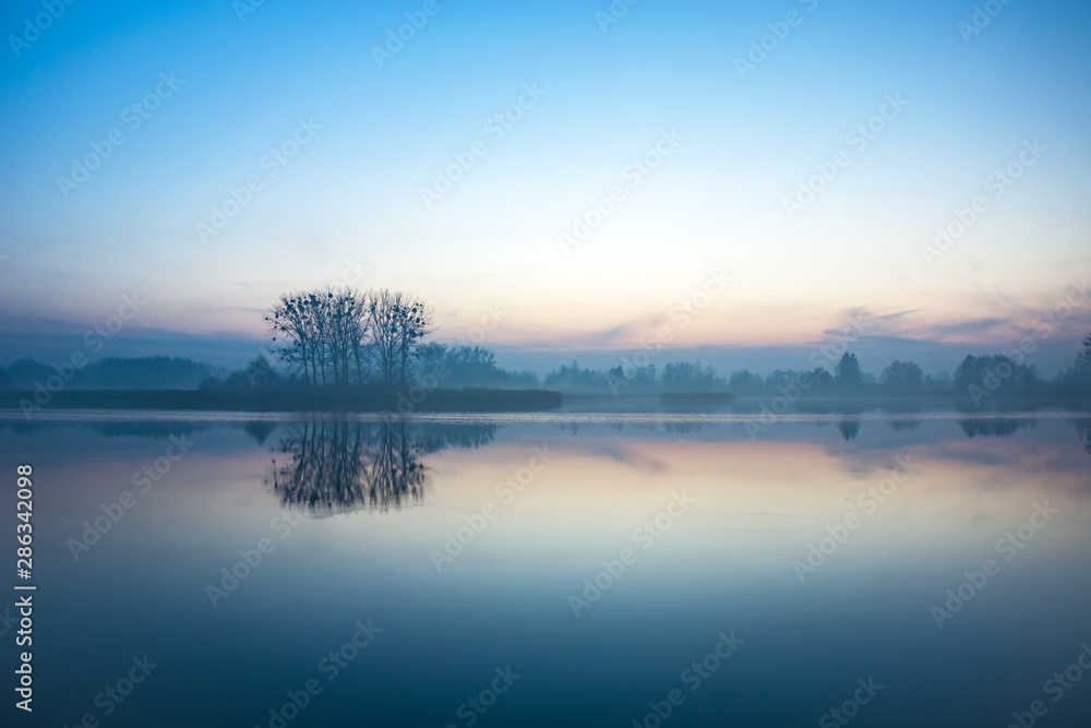 Trees on the shore of a foggy lake