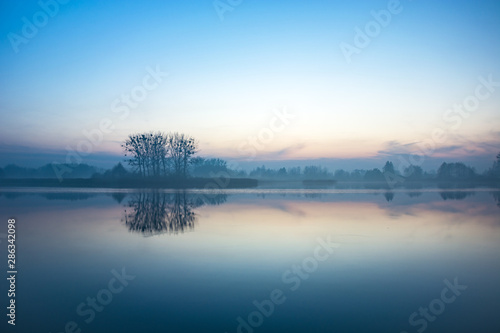 Trees on the shore of a foggy lake